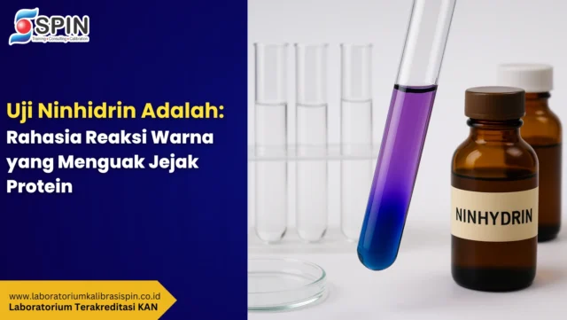 uji ninhidrin adalah
