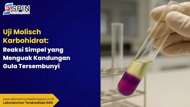 uji molisch karbohidrat